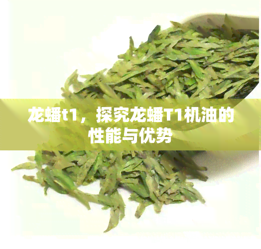 龙蟠t1，探究龙蟠T1机油的性能与优势