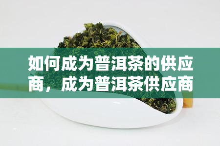 如何成为普洱茶的供应商，成为普洱茶供应商的步骤和方法