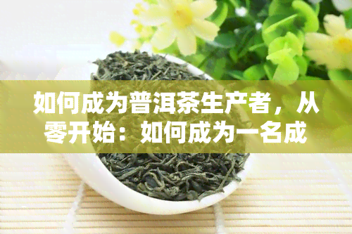 如何成为普洱茶生产者，从零开始：如何成为一名成功的普洱茶生产者？