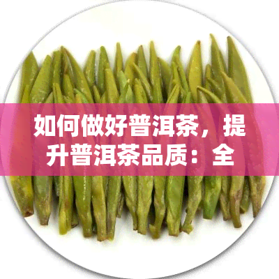 如何做好普洱茶，提升普洱茶品质：全面指南