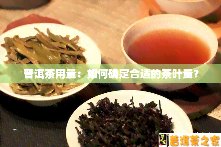 普洱茶用量：如何确定合适的茶叶量？