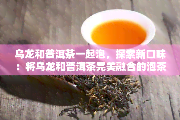 乌龙和普洱茶一起泡，探索新口味：将乌龙和普洱茶完美融合的泡茶体验