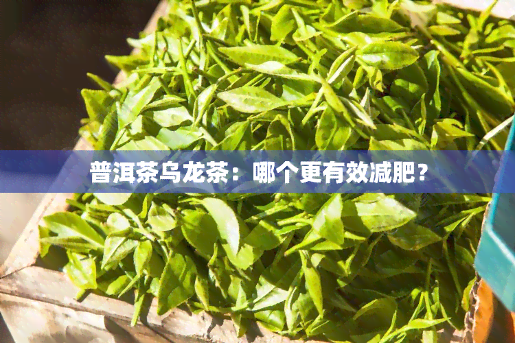 普洱茶乌龙茶：哪个更有效减肥？