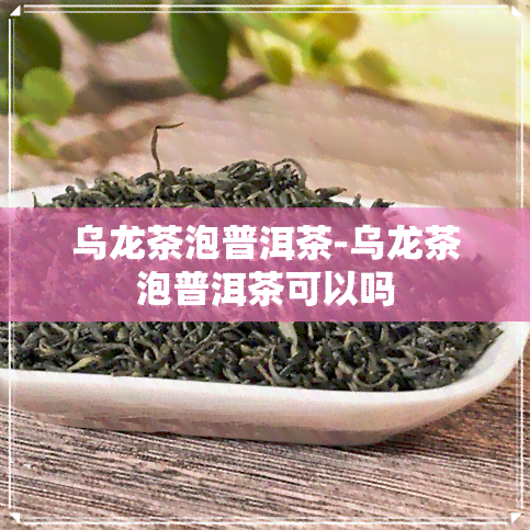 乌龙茶泡普洱茶-乌龙茶泡普洱茶可以吗