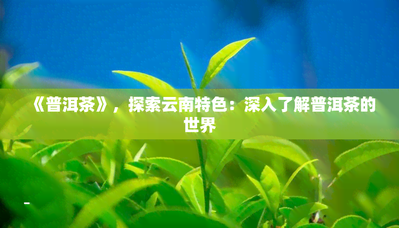 《普洱茶》，探索云南特色：深入了解普洱茶的世界