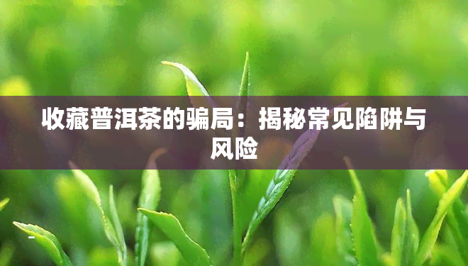 收藏普洱茶的骗局：揭秘常见陷阱与风险