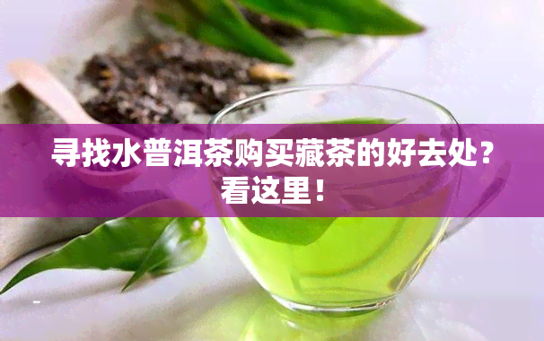 寻找水普洱茶购买藏茶的好去处？看这里！