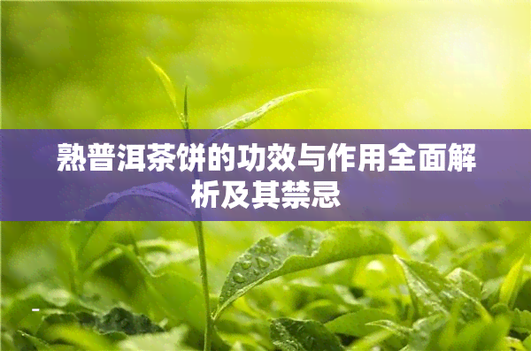 熟普洱茶饼的功效与作用全面解析及其禁忌