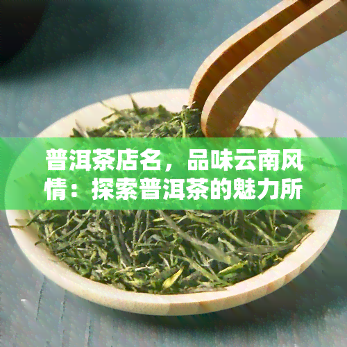 普洱茶店名，品味云南风情：探索普洱茶的魅力所在——你必须知道的普洱茶店名