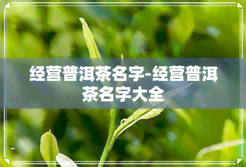 经营普洱茶名字-经营普洱茶名字大全