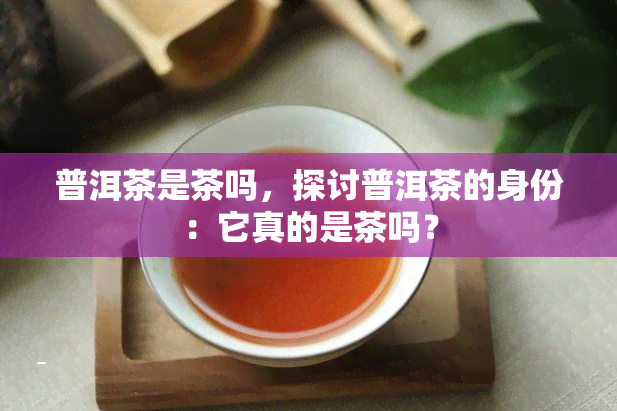 普洱茶是茶吗，探讨普洱茶的身份：它真的是茶吗？