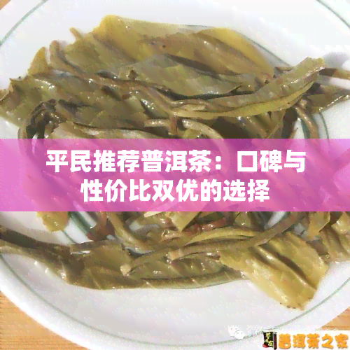 平民推荐普洱茶：口碑与性价比双优的选择