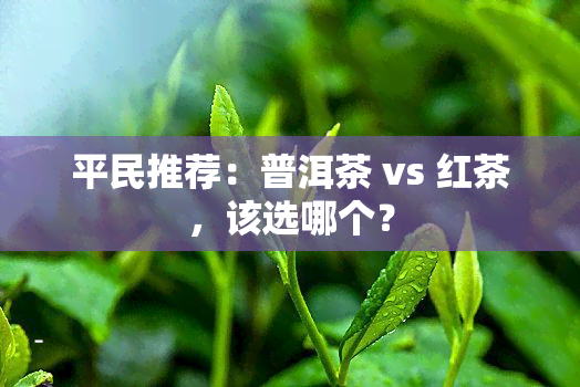 平民推荐：普洱茶 vs 红茶，该选哪个？