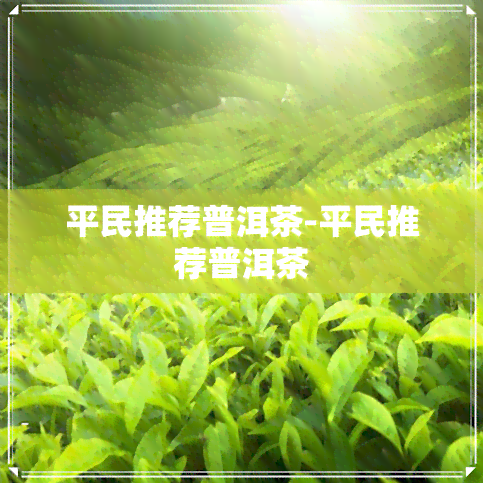 平民推荐普洱茶-平民推荐普洱茶