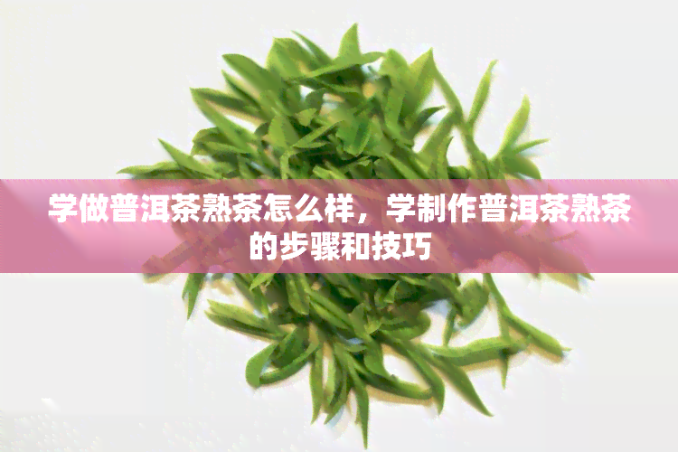 学做普洱茶熟茶怎么样，学制作普洱茶熟茶的步骤和技巧