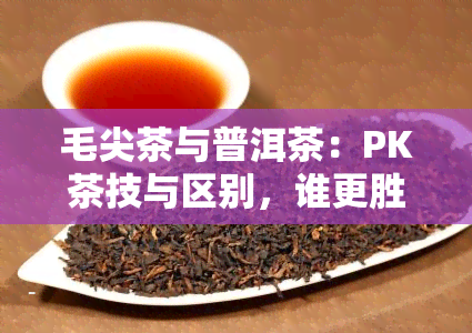 毛尖茶与普洱茶：PK茶技与区别，谁更胜一筹？