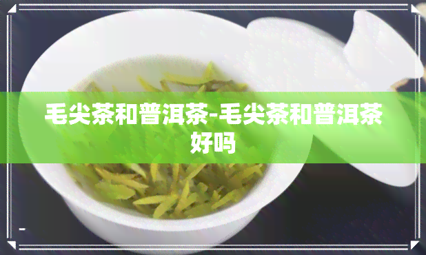 毛尖茶和普洱茶-毛尖茶和普洱茶好吗