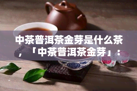 中茶普洱茶金芽是什么茶，「中茶普洱茶金芽」：一款值得品味的茶叶