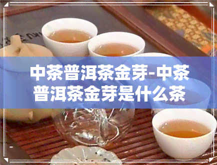 中茶普洱茶金芽-中茶普洱茶金芽是什么茶