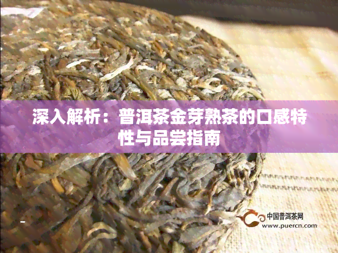 深入解析：普洱茶金芽熟茶的口感特性与品尝指南