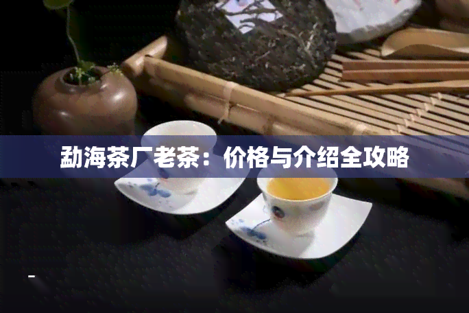 勐海茶厂老茶：价格与介绍全攻略