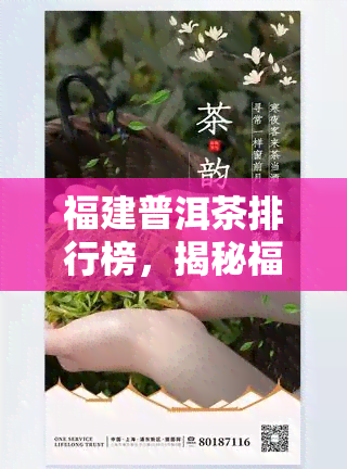 福建普洱茶排行榜，揭秘福建普洱茶排行榜，品味正宗福建茗香