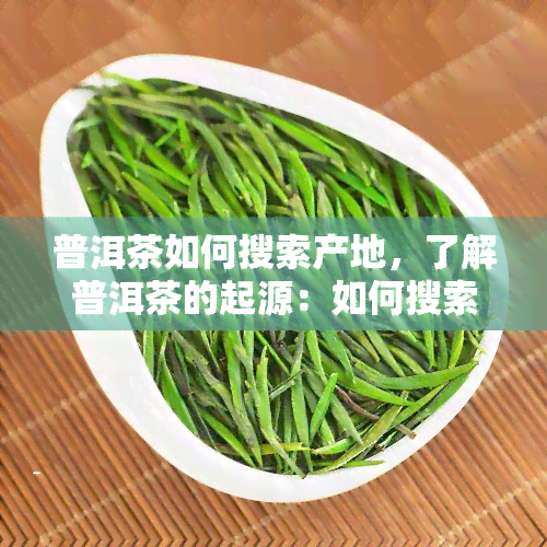 普洱茶如何搜索产地，了解普洱茶的起源：如何搜索其产地？