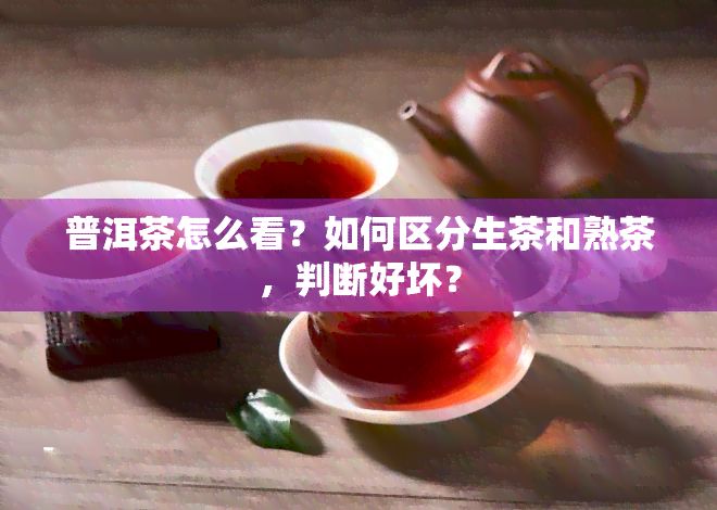 普洱茶怎么看？如何区分生茶和熟茶，判断好坏？