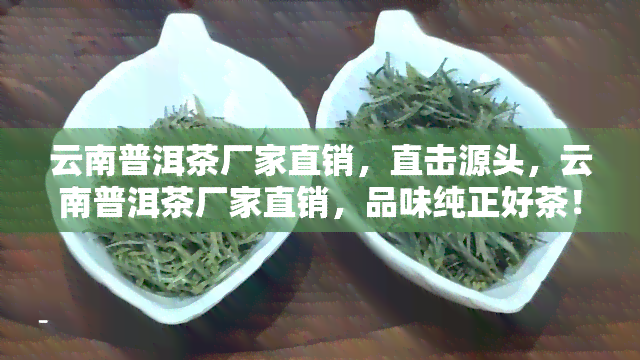 云南普洱茶厂家直销，直击源头，云南普洱茶厂家直销，品味纯正好茶！