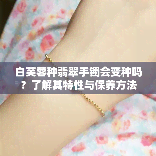 白芙蓉种翡翠手镯会变种吗？了解其特性与保养方法！