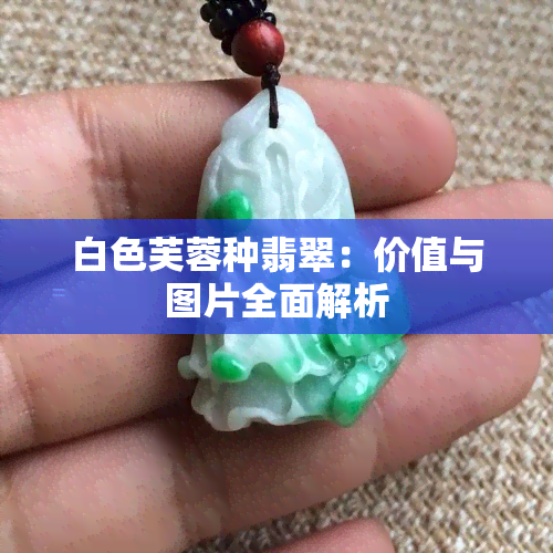 白色芙蓉种翡翠：价值与图片全面解析