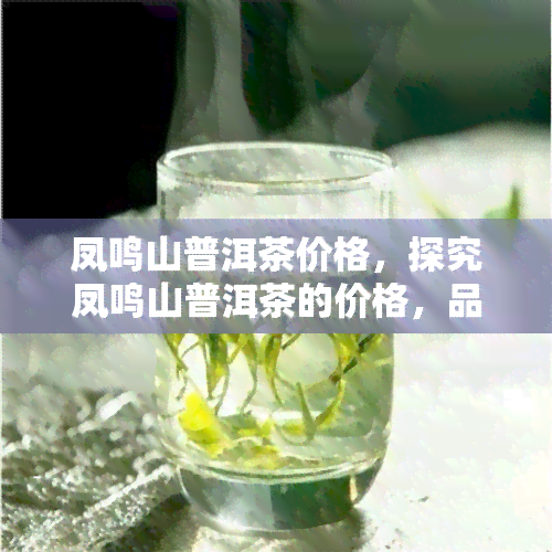 凤鸣山普洱茶价格，探究凤鸣山普洱茶的价格，品味其独特的口感与价值