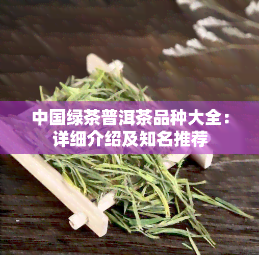 中国绿茶普洱茶品种大全：详细介绍及知名推荐