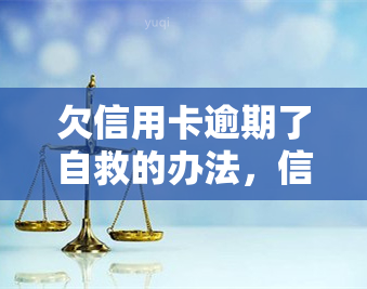 欠信用卡逾期了自救的办法，信用卡逾期，自救攻略！