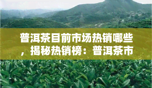 普洱茶目前市场热销哪些，揭秘热销榜：普洱茶市场上更受欢迎的是哪些？