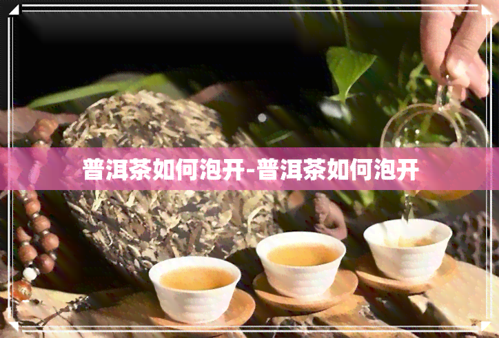 普洱茶如何泡开-普洱茶如何泡开