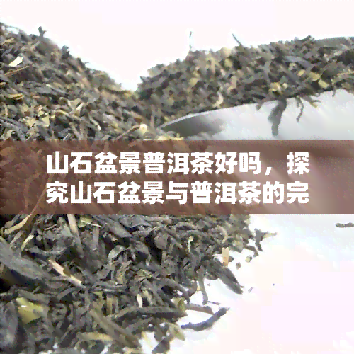 山石盆景普洱茶好吗，探究山石盆景与普洱茶的完美结合，你是否喝过？