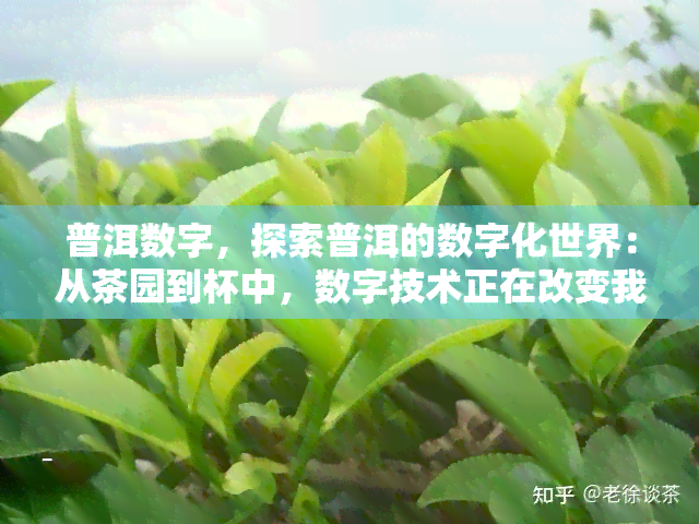 普洱数字，探索普洱的数字化世界：从茶园到杯中，数字技术正在改变我们的茶体验