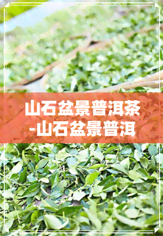 山石盆景普洱茶-山石盆景普洱茶图片