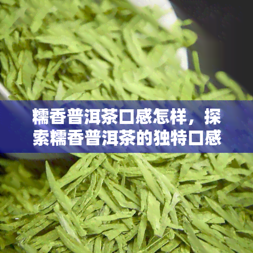 糯香普洱茶口感怎样，探索糯香普洱茶的独特口感：一种全新的品茗体验