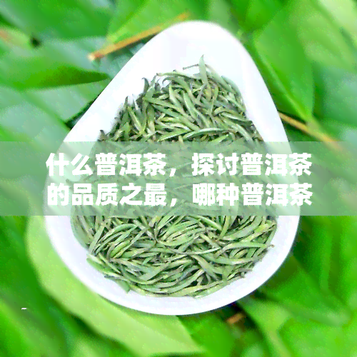 什么普洱茶，探讨普洱茶的品质之最，哪种普洱茶才是的选择？