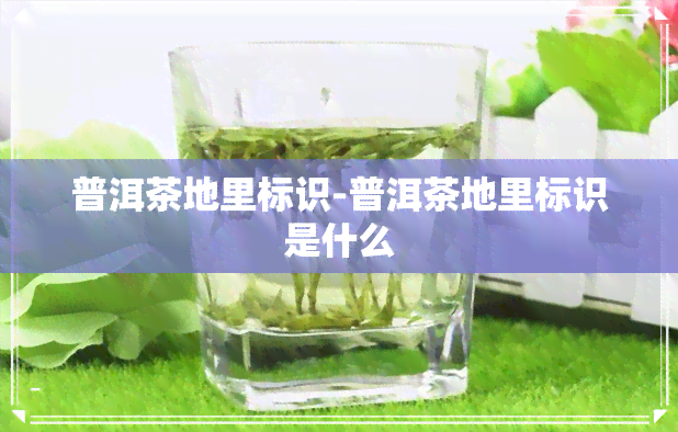 普洱茶地里标识-普洱茶地里标识是什么