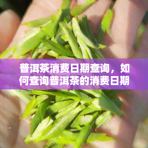 普洱茶消费日期查询，如何查询普洱茶的消费日期？