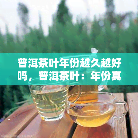 普洱茶叶年份越久越好吗，普洱茶叶：年份真的是越久越好吗？