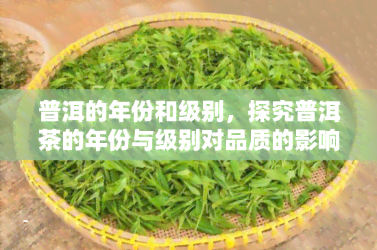 普洱的年份和级别，探究普洱茶的年份与级别对品质的影响