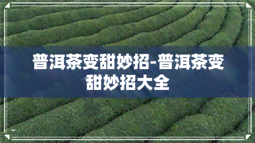 普洱茶变甜妙招-普洱茶变甜妙招大全