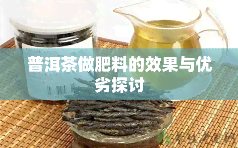 普洱茶做肥料的效果与优劣探讨