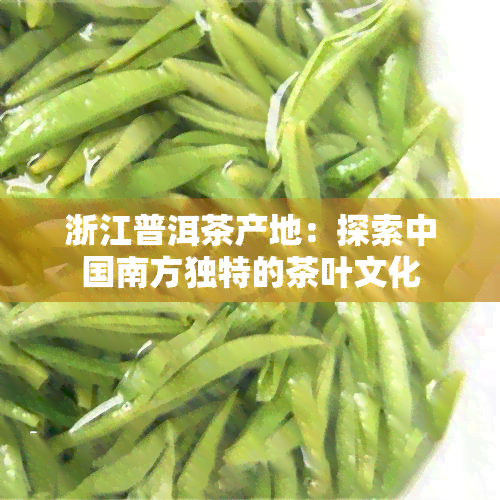 浙江普洱茶产地：探索中国南方独特的茶叶文化