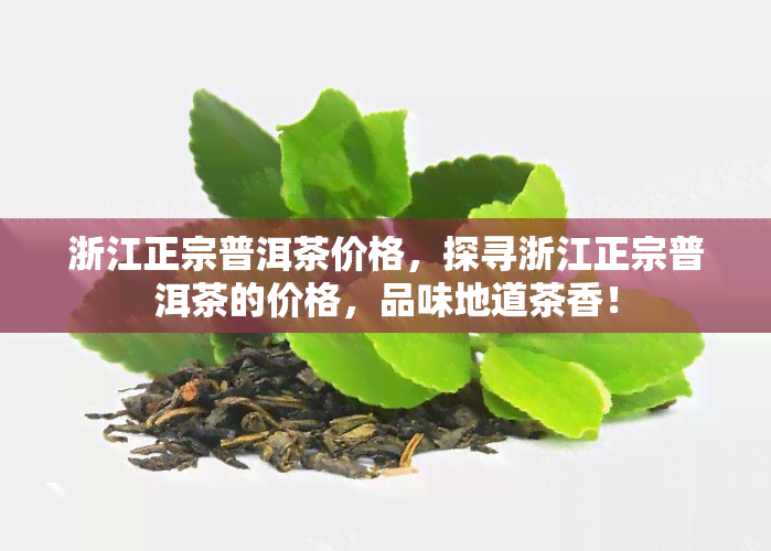 浙江正宗普洱茶价格，探寻浙江正宗普洱茶的价格，品味地道茶香！