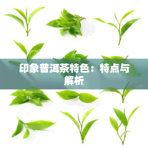 印象普洱茶特色：特点与解析